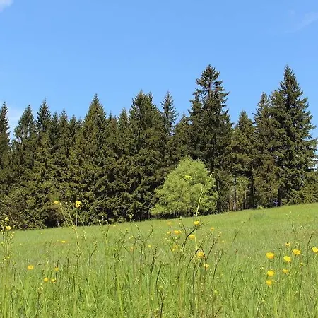 Horska Wander Pensjonat Bedřichov
