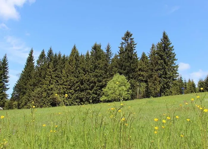Horská Wander Penzion Bedřichov